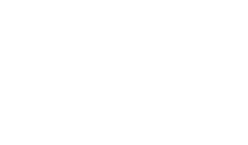 Global Program Manager en EBF Murcia Global Program Manager en EBF Murcia